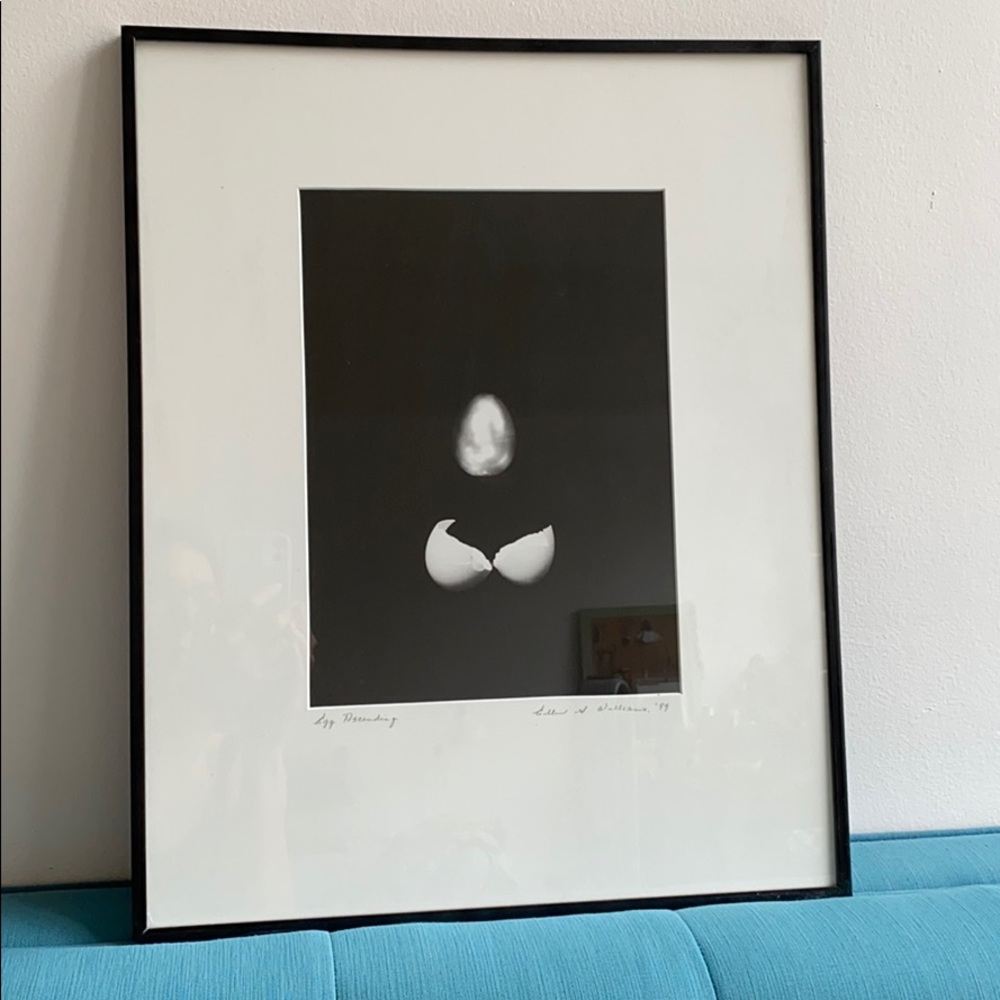 Framed ‘Egg Ascending’ photograph